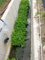 팜모닝 장터이야기·자유게시판 게시글 이미지