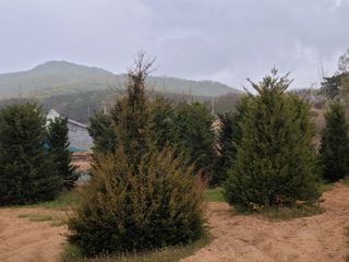 박진희님의 자유주제 · 자유게시판 작성글 사진