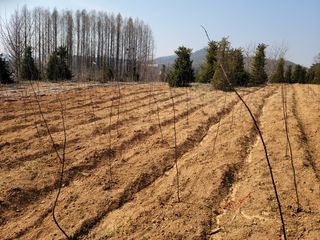 박진희님의 자유주제 · 자유게시판 작성글 사진