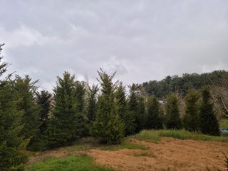 박진희님의 자유주제 · 자유게시판 작성글 사진