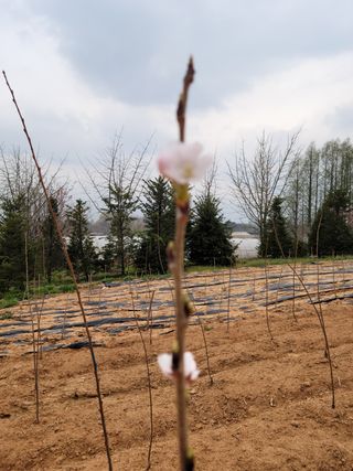 박진희님의 자유주제 · 자유게시판 작성글 사진