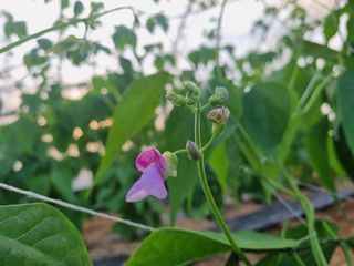 용균님의 콩 · 자유게시판 작성글 사진