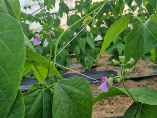 용균님의 콩 · 자유게시판 작성글 사진