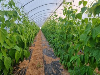 용균님의 콩 · 자유게시판 작성글 사진