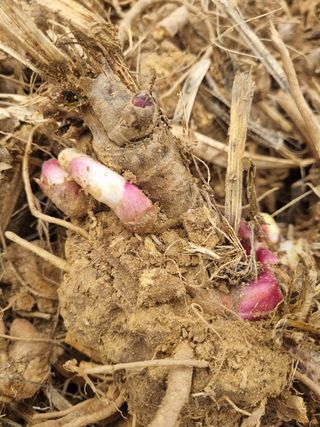 이호성님의 기타작물 · 자유게시판 작성글 사진