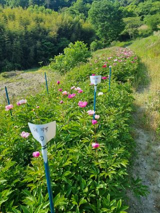 이호성님의 기타작물 · 자유게시판 작성글 사진
