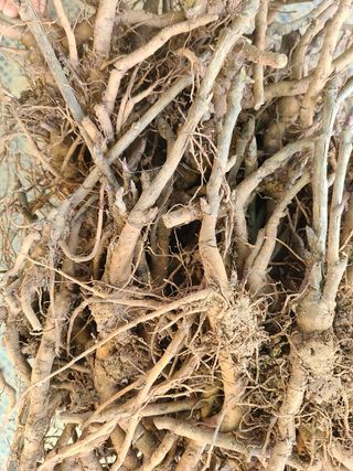 이호성님의 기타작물 · 자유게시판 작성글 사진