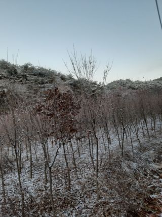 한명환님의 기타작물 · 병해충상담 작성글 사진