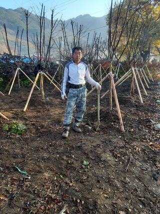 한명환님의 기타작물 · 병해충상담 작성글 사진