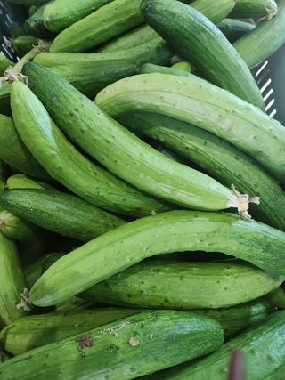 빨간장화농장 김숙자님의 작성글 사진