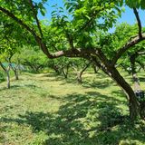 팜모닝 자유주제·자유게시판 게시글 이미지