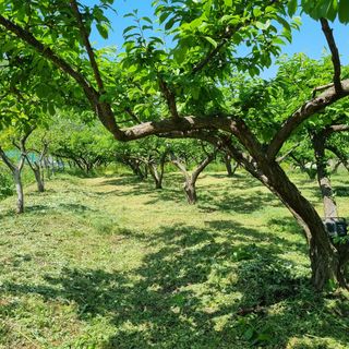 곽철수님의 자유주제 · 자유게시판 작성글 사진
