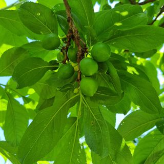 곽철수님의 자유주제 · 자유게시판 작성글 사진