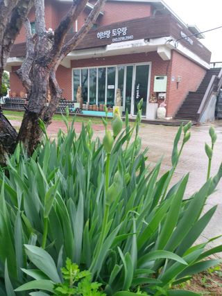 베리맘님의 블루베리 · 자유게시판 작성글 사진