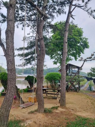 베리맘님의 블루베리 · 자유게시판 작성글 사진