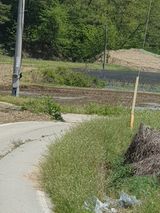 팜모닝 벼·자유게시판 게시글 이미지