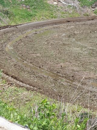 김종은님의 벼 · 자유게시판 작성글 사진