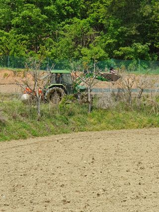 김종은님의 벼 · 자유게시판 작성글 사진