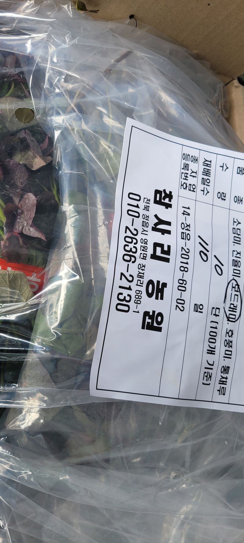 장터 상품 [고구마종순판매1단(100개기준)] 썸네일