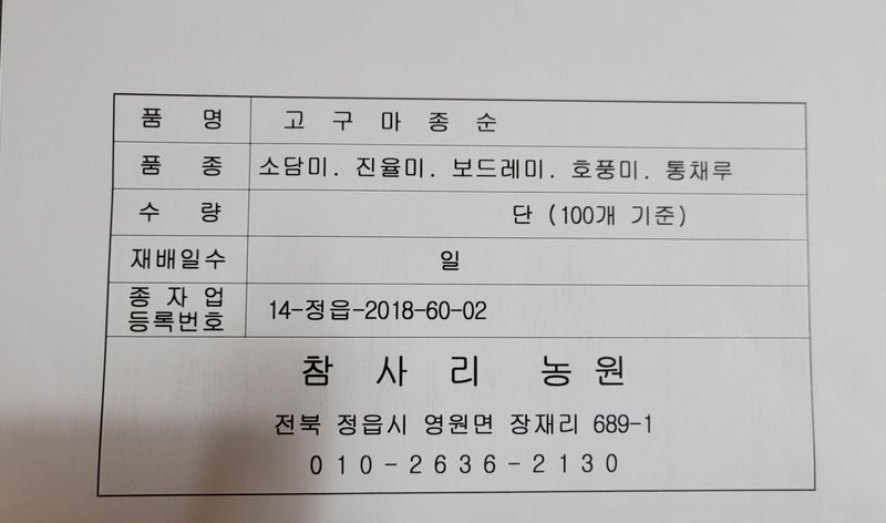 이동훈님의 장터 판매 상품 [고구마종순판매1단(100개기준)] 첨부 사진