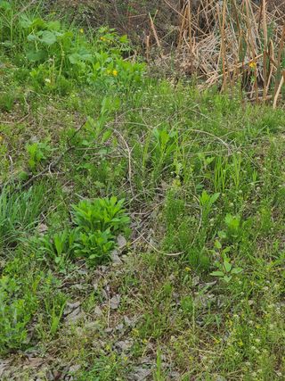 시금치15880님의 자유주제 · 사진전 작성글 사진