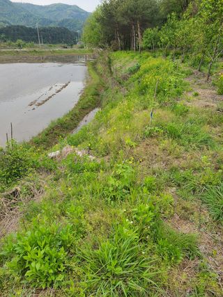 시금치15880님의 자유주제 · 사진전 작성글 사진