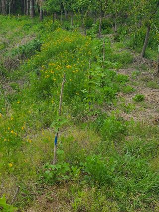 시금치15880님의 자유주제 · 사진전 작성글 사진