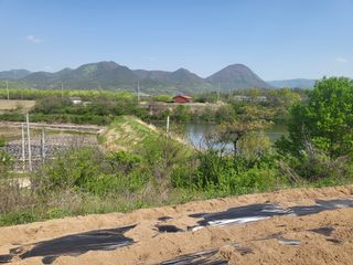 아준님의 참깨 · 자유게시판 작성글 사진