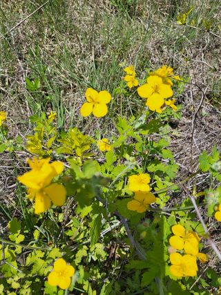아준님의 참깨 · 자유게시판 작성글 사진