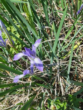 아준님의 참깨 · 자유게시판 작성글 사진