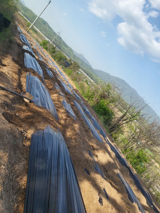 아준님의 참깨 · 자유게시판 작성글 사진