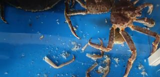 노가네수산님의 우리동네 · 동네정보 작성글 사진