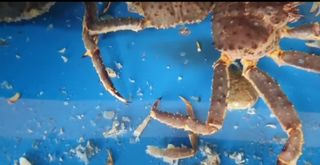 노가네수산님의 우리동네 · 동네정보 작성글 사진