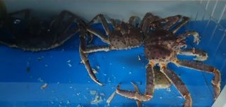 노가네수산님의 우리동네 · 동네정보 작성글 사진