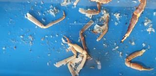 노가네수산님의 우리동네 · 동네정보 작성글 사진