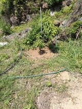 팜모닝 자유주제·사진전 게시글 이미지