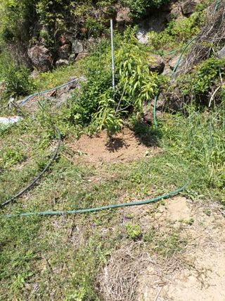 이미숙님의 자유주제 · 사진전 작성글 사진