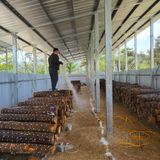 팜모닝 버섯·일상 게시글 이미지