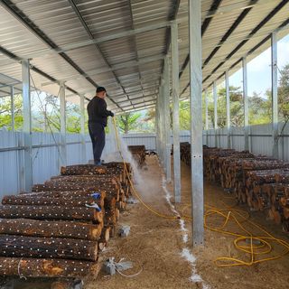 윤종만님의 버섯 · 일상 작성글 사진