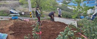 산딸기 쌍둥맘 영신님의 감자 · 자유게시판 작성글 사진