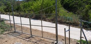 초원농원님의 자유주제 · 칭찬해요 작성글 사진