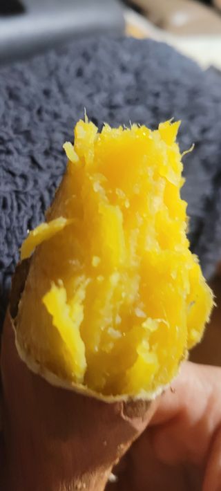 이동훈님의 고구마 · 자유게시판 작성글 사진