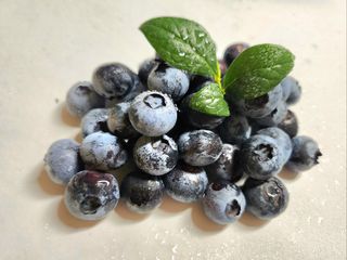 김성균님의 작성글 사진