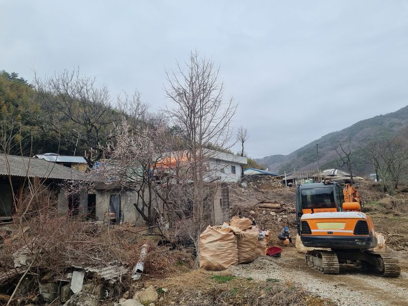 이호성님의 장터 판매 상품 [토종 백목단 ] 첨부 사진