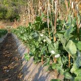 팜모닝 자유주제·자유게시판 게시글 이미지