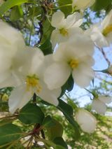 팜모닝 자유주제·자유게시판 게시글 이미지