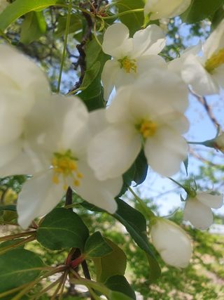 이혜숙님의 자유주제 · 자유게시판 작성글 사진