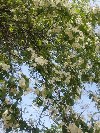 이혜숙님의 자유주제 · 자유게시판 작성글 사진