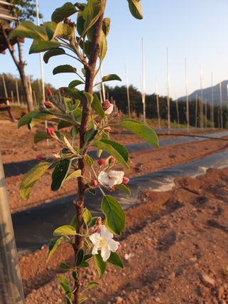 시현님의 자유주제 · 자유게시판 작성글 사진