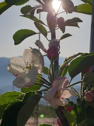 시현님의 자유주제 · 자유게시판 작성글 사진